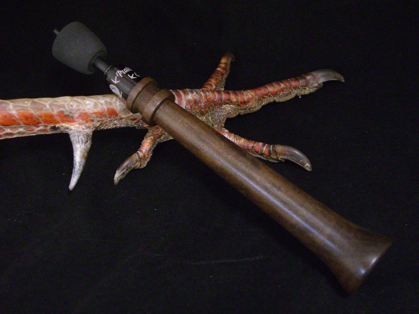 Black Walnut Burl Turkey Trumpet