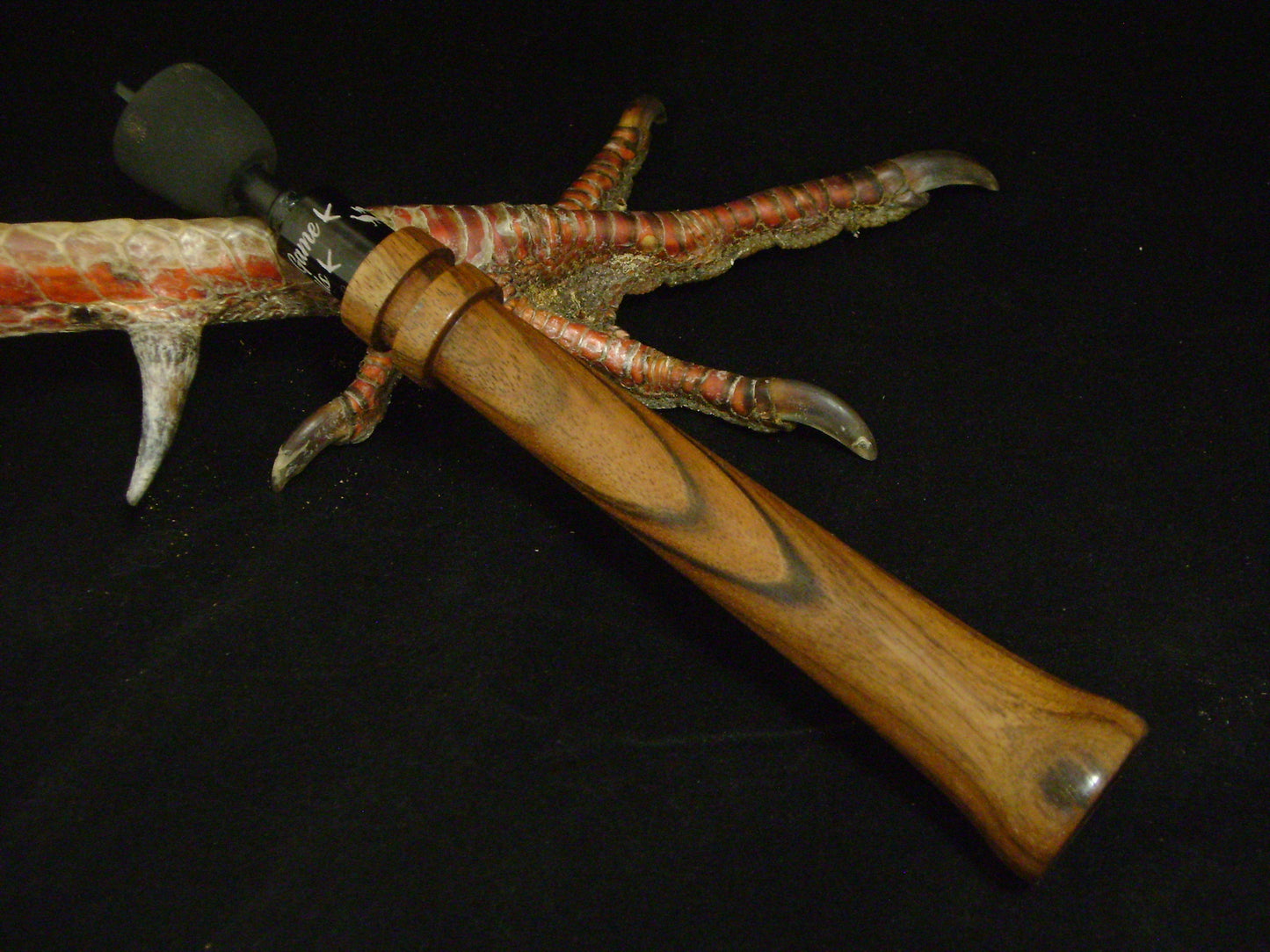 English Walnut Turkey Trumpet