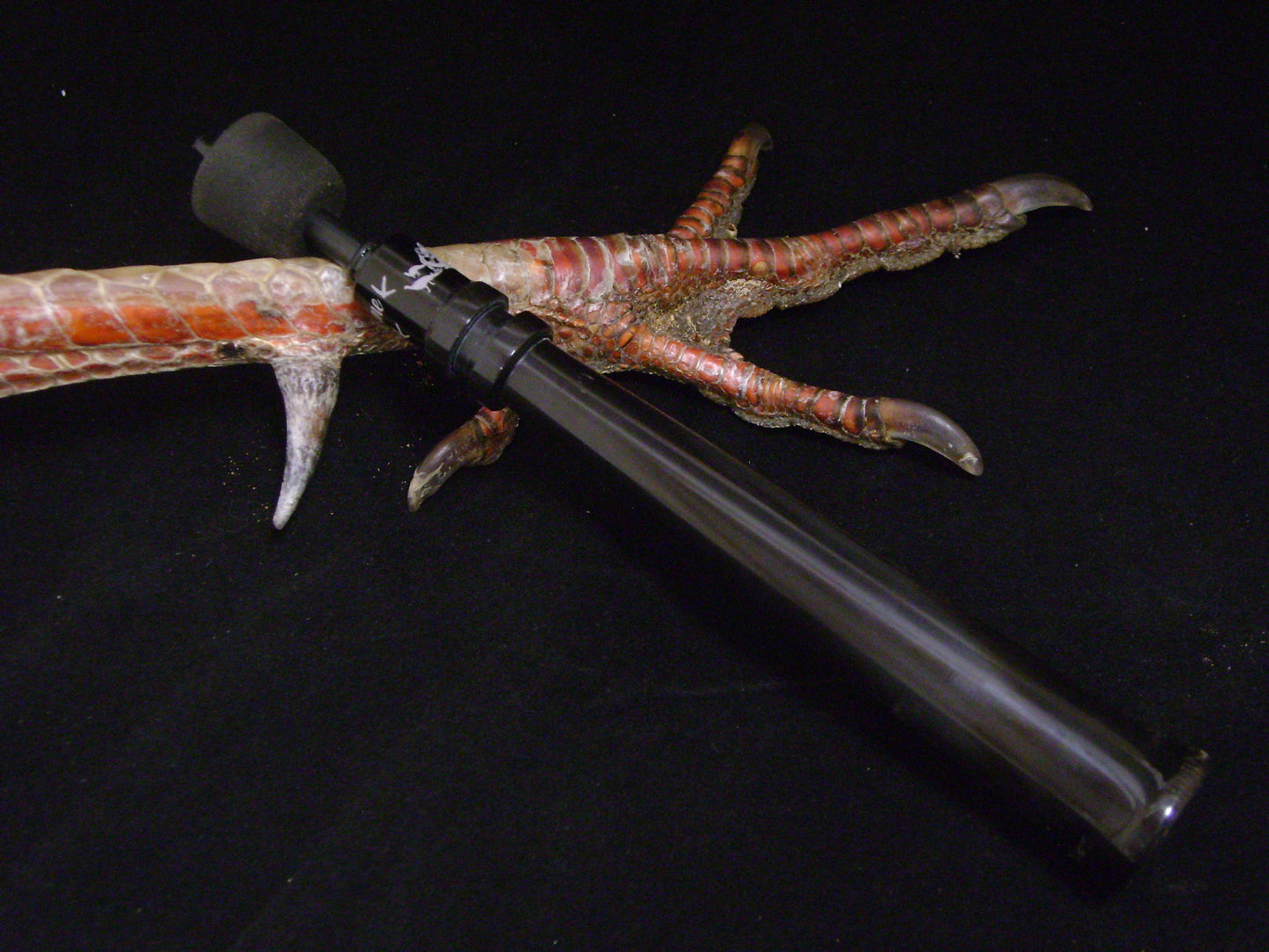 African Gemsbok Horn Turkey Trumpet