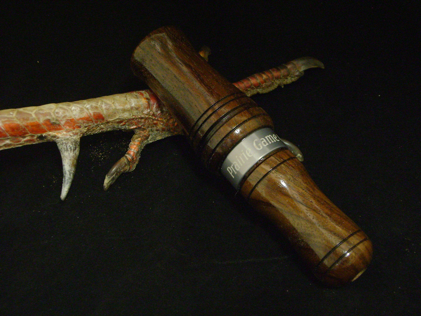 Indian Rosewood Owl Call