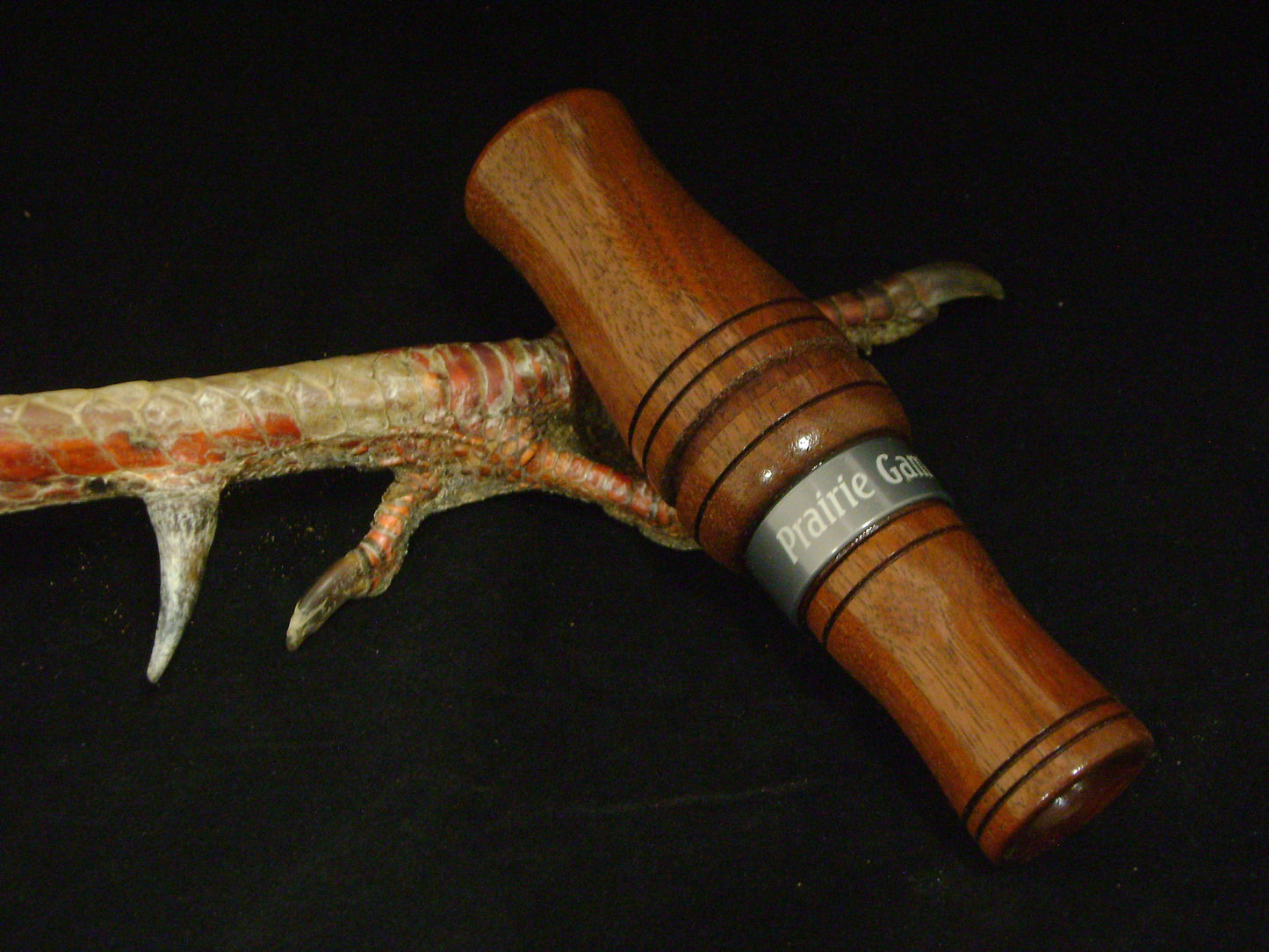 Black Walnut Owl Call