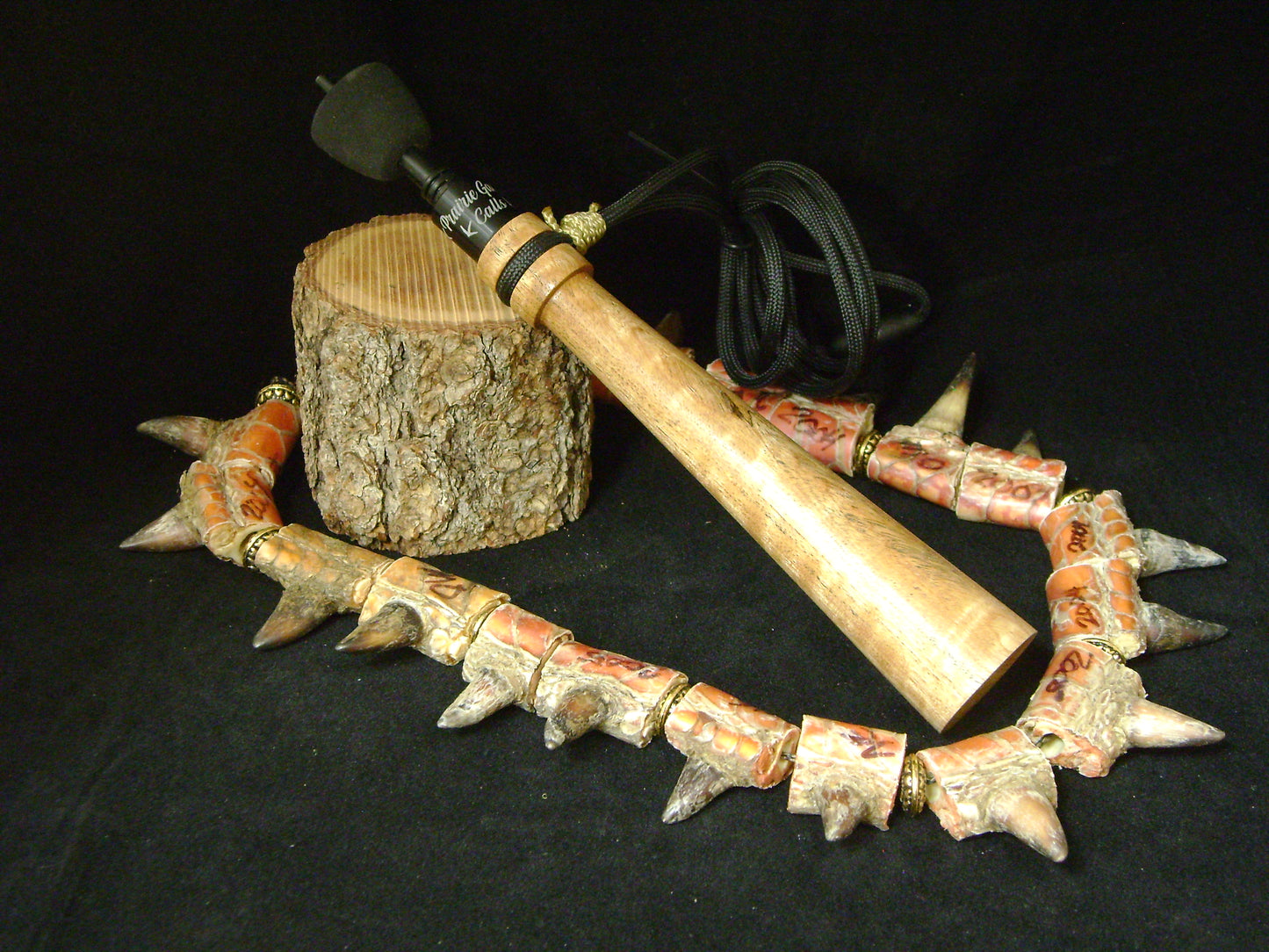 Asian Satinwood Turkey Trumpet