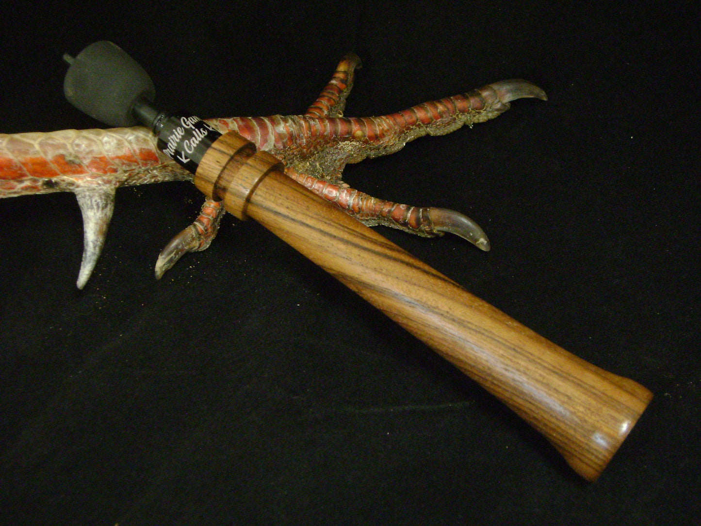 English Walnut Turkey Trumpet
