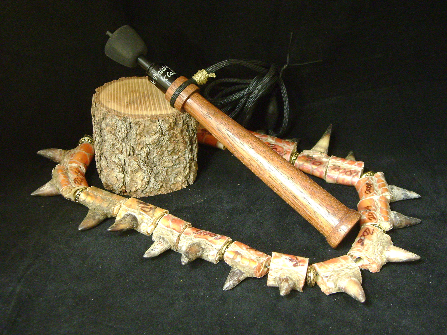 Tasmanian Blackwood Turkey Trumpet