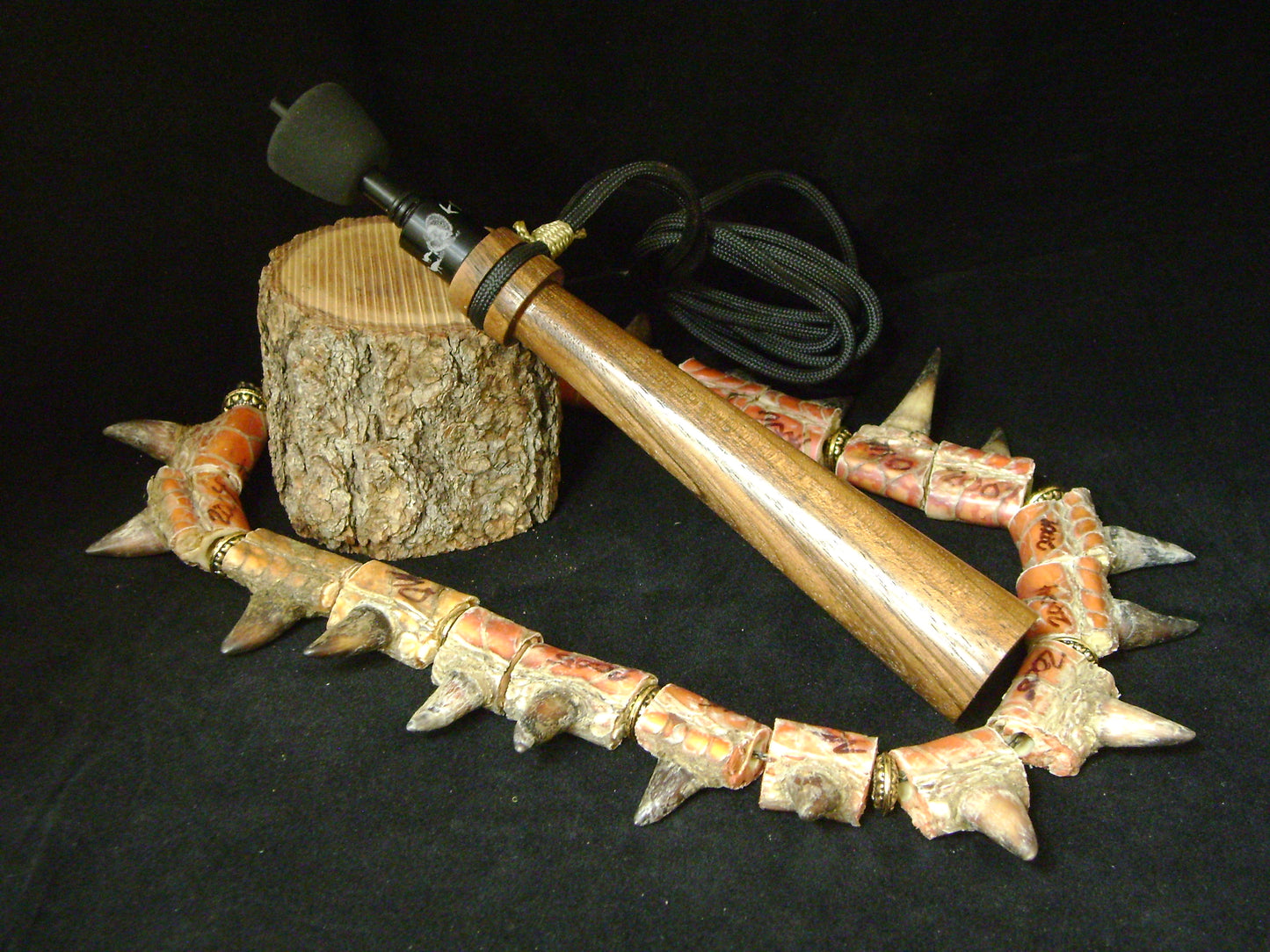 English Walnut Turkey Trumpet